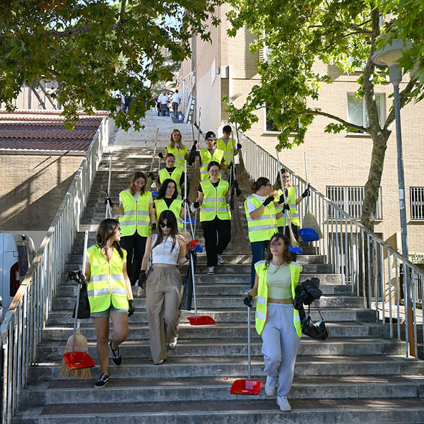 A group of volunteers going down a staircase with brooms and dustpans