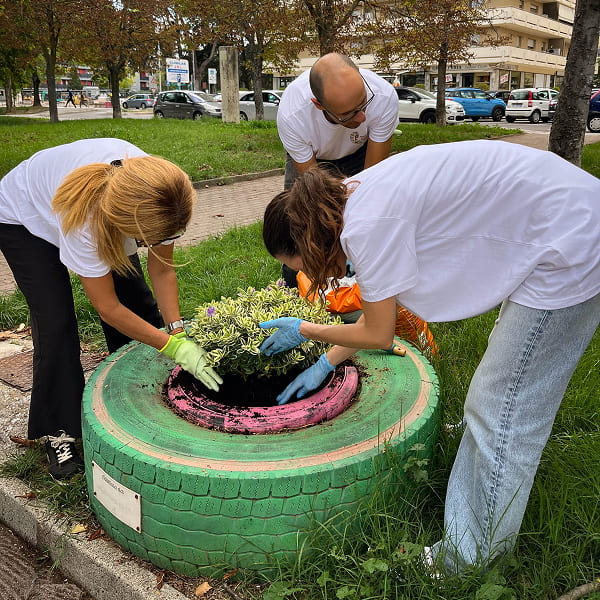 Three volunteers planting flowers in a pot