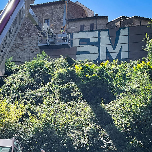 Volunteers cleaning a mural