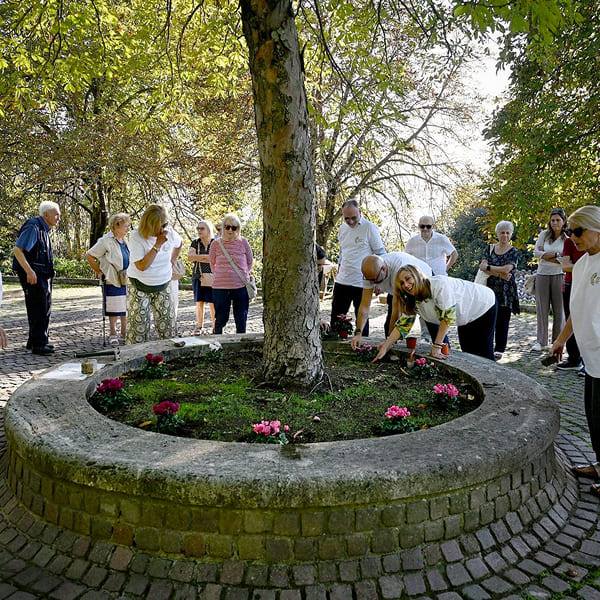 Volunteers planting flowers in a circular planter