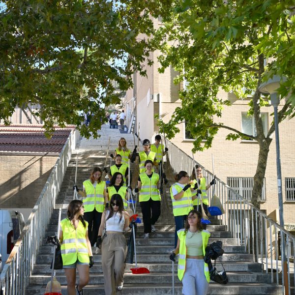 A group of volunteers going down a staircase with brooms and dustpans