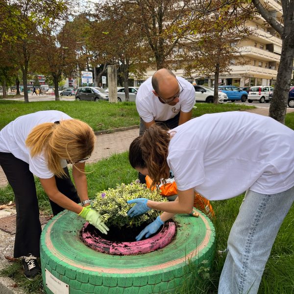 Three volunteers planting flowers in a pot