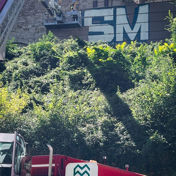 Volunteers cleaning a mural