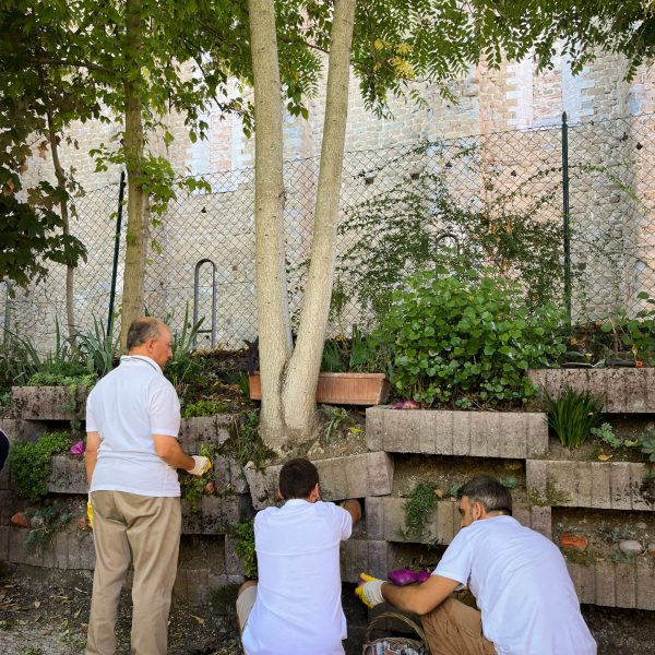 Three volunteers working on planters